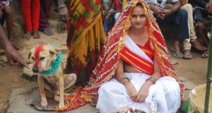 woman marries dog