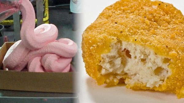 Mechanically Separated Meat The Pink Goo In Your Chicken Nuggets mechanically-separated-meat-the-pink-goo-in-your-chicken-nuggets