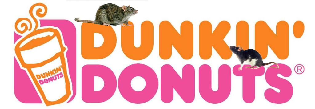 dunkindonutsedit