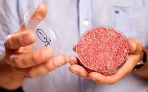 McDonald’s Uses Worm Meat Fillers But Can Legally Call It 100% Beef