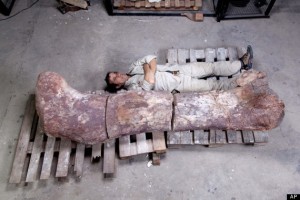 CORRECTION Argentina Giant Dinosaur