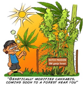 Genetic-Cannabis