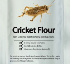 cricket-flour-side-1-650x650