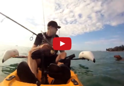 man saves drowning dog