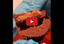 maggots in Reese's peanut butter cup