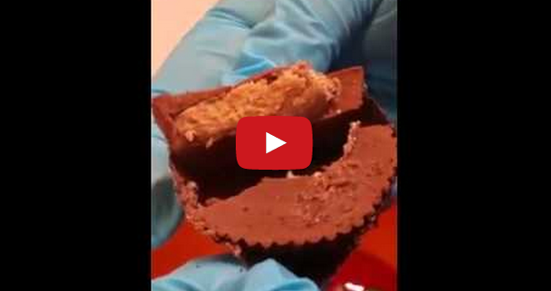 maggots in Reese's peanut butter cup