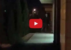disturbing video found in croatia