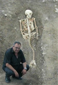 mermaid body found in caribbean