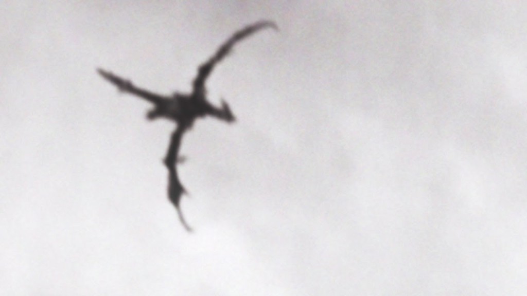 Amazing! Real Dragon Captured On Video