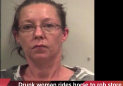 Drunk Alabama Horse Stealer