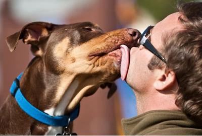 12 Of The Sloppiest Dog Kisses And The People Who Encouraged It