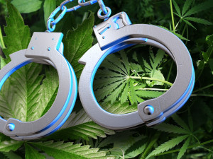 marijuana-handcuffs-hbtv-hemp-beach-tv