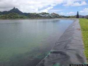 o-WAIMANALO-RESERVOIR-FULL-570