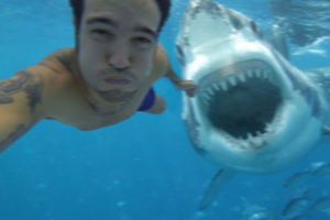 shark-selfie-460x307