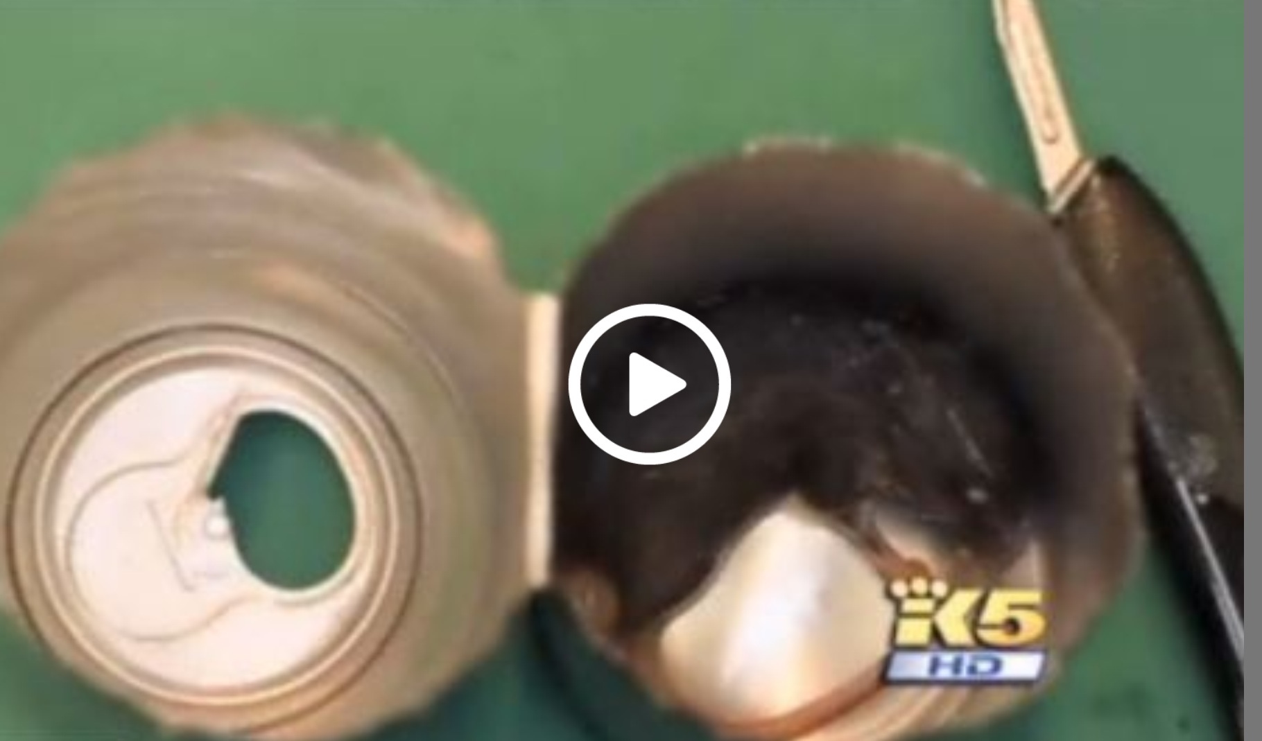 Man Finds Dead Mouse In Can Of Monster Energy Drink 
