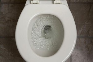 Guess What Could Be in Your Toilet - DailyBuzzLive.com