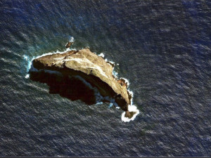 See What They Found On This Tiny Island That Shocked Zoologists Everywhere!