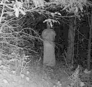 10 Photos Taken In The Woods That Will Give You Nightmares